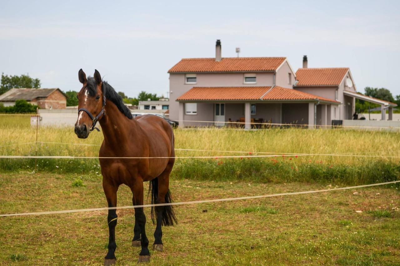 Ana Сasa de vacaciones Fažana